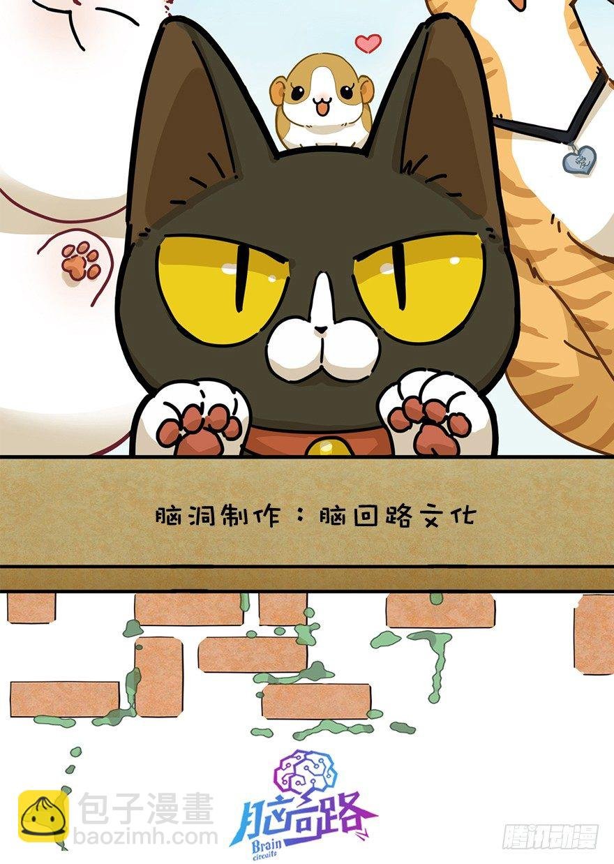 第19爪 她喜欢的人