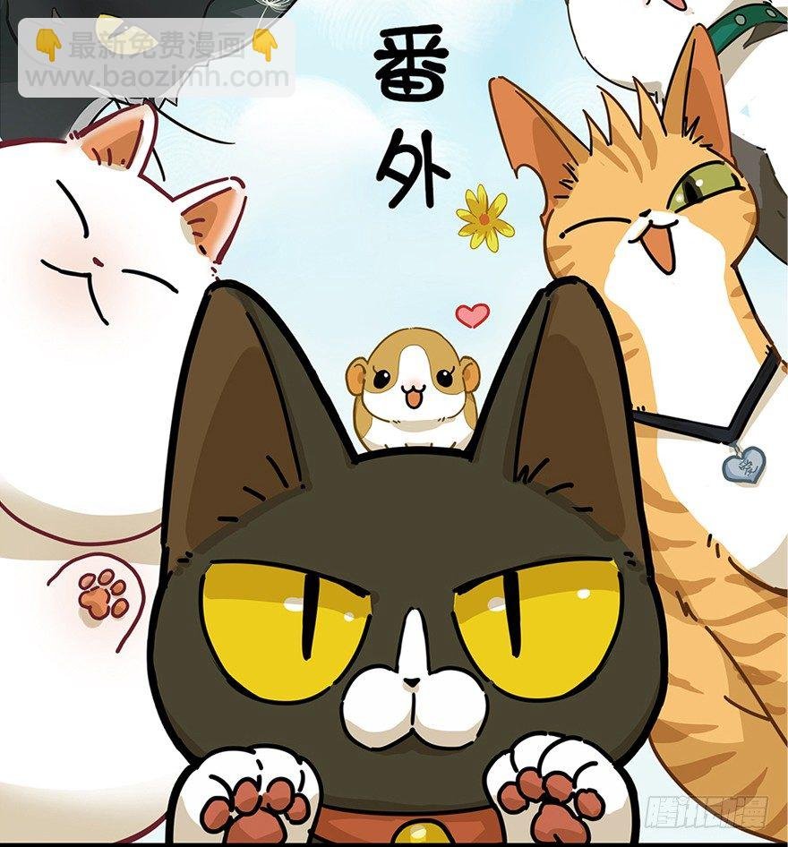 第2爪 做猫第一课（上）