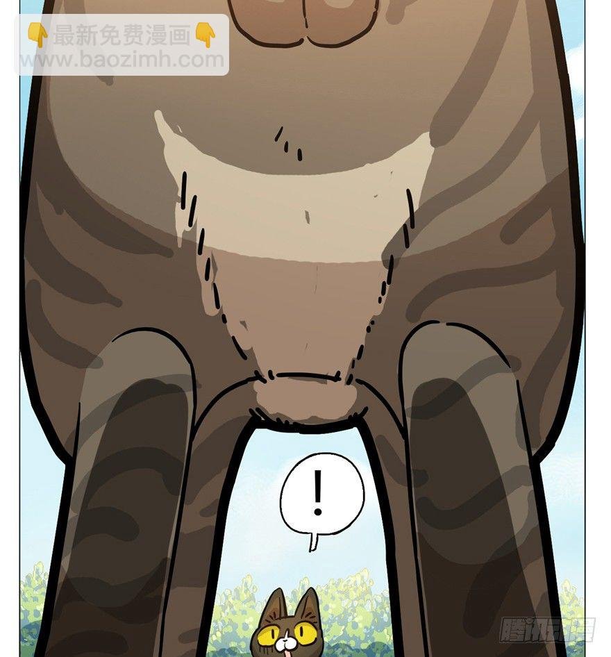 第2爪 做猫第一课（上）