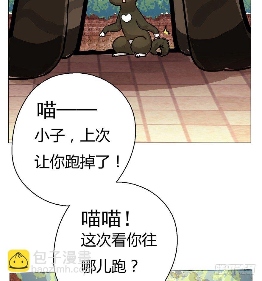 第2爪 做猫第一课（上）