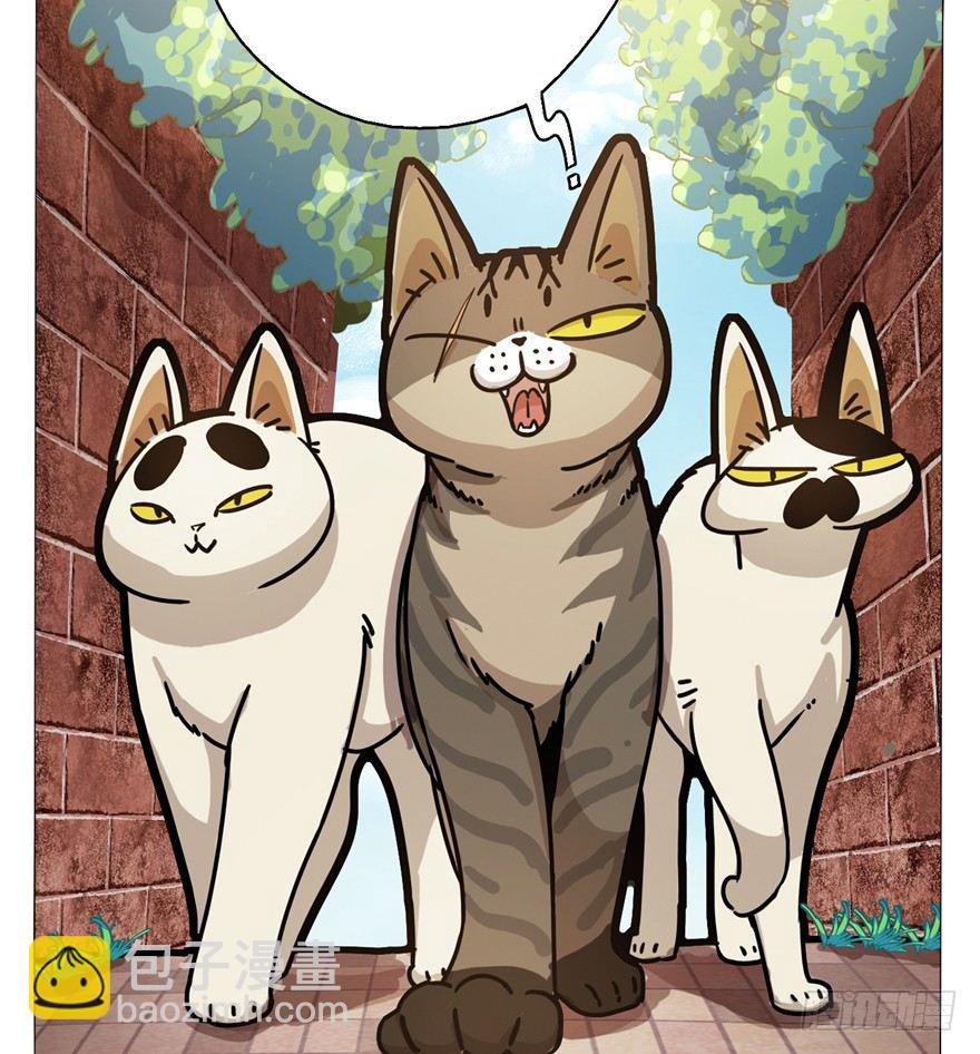 第2爪 做猫第一课（上）