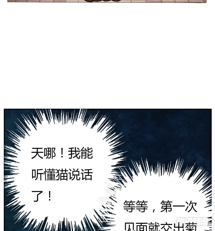 第2爪 做猫第一课（上）