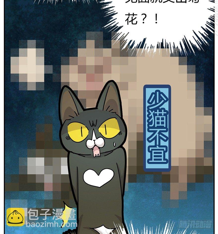 第2爪 做猫第一课（上）