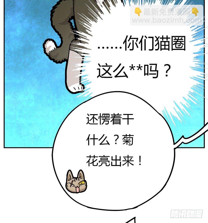 第2爪 做猫第一课（上）