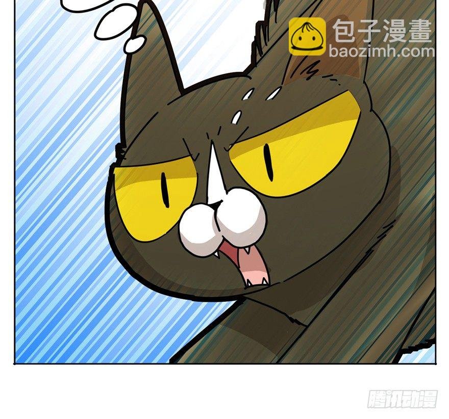 第2爪 做猫第一课（上）