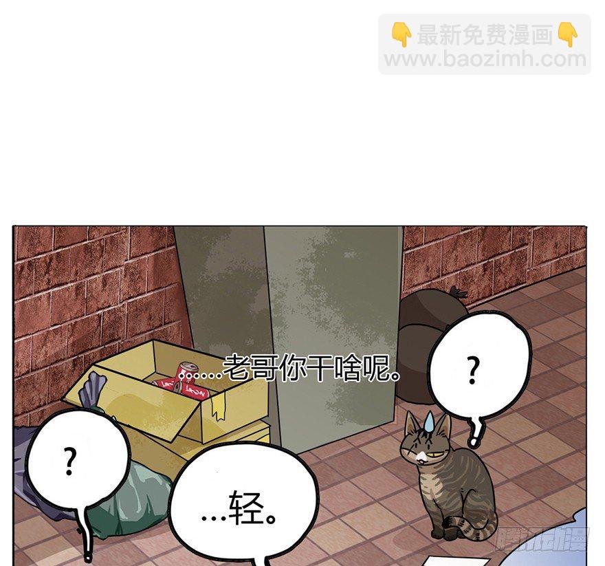 第2爪 做猫第一课（上）