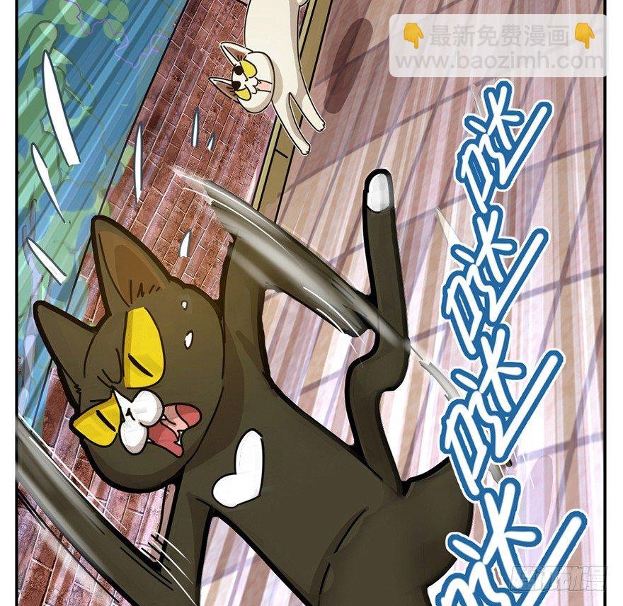 第2爪 做猫第一课（上）