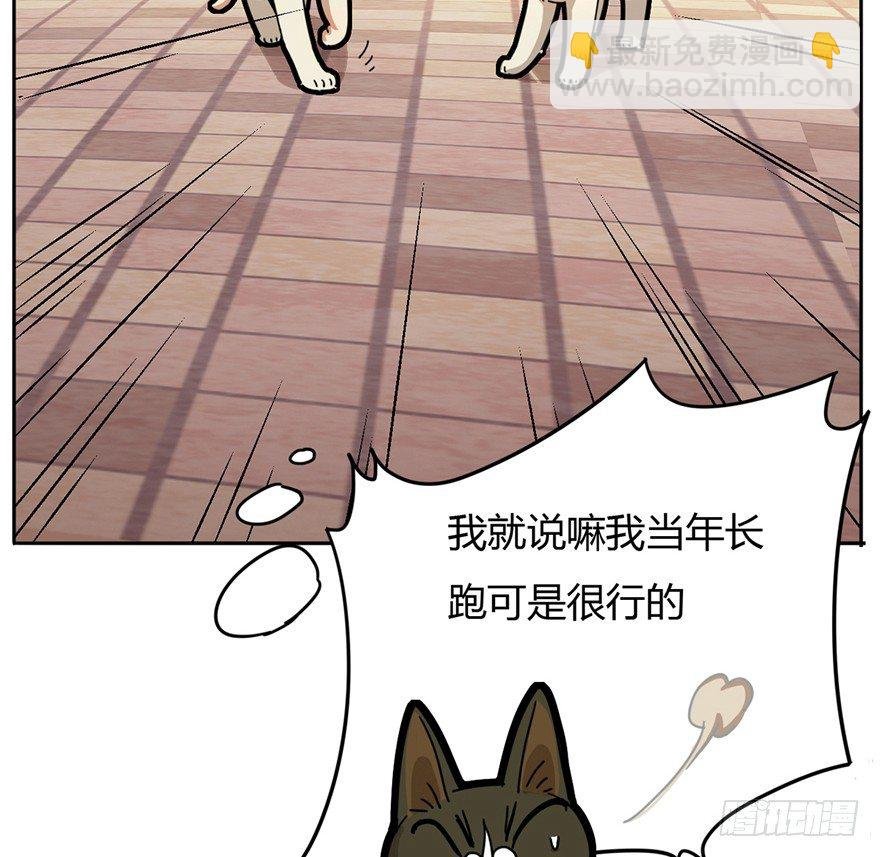 第2爪 做猫第一课（上）