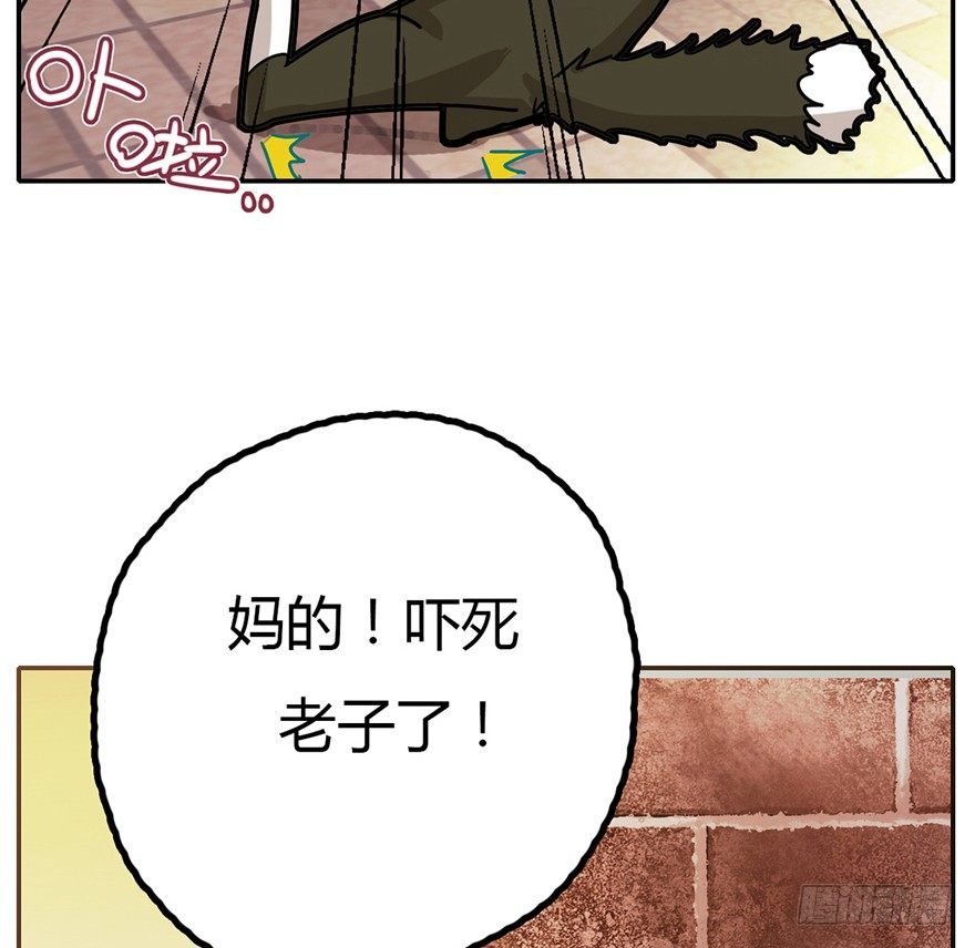 第2爪 做猫第一课（上）