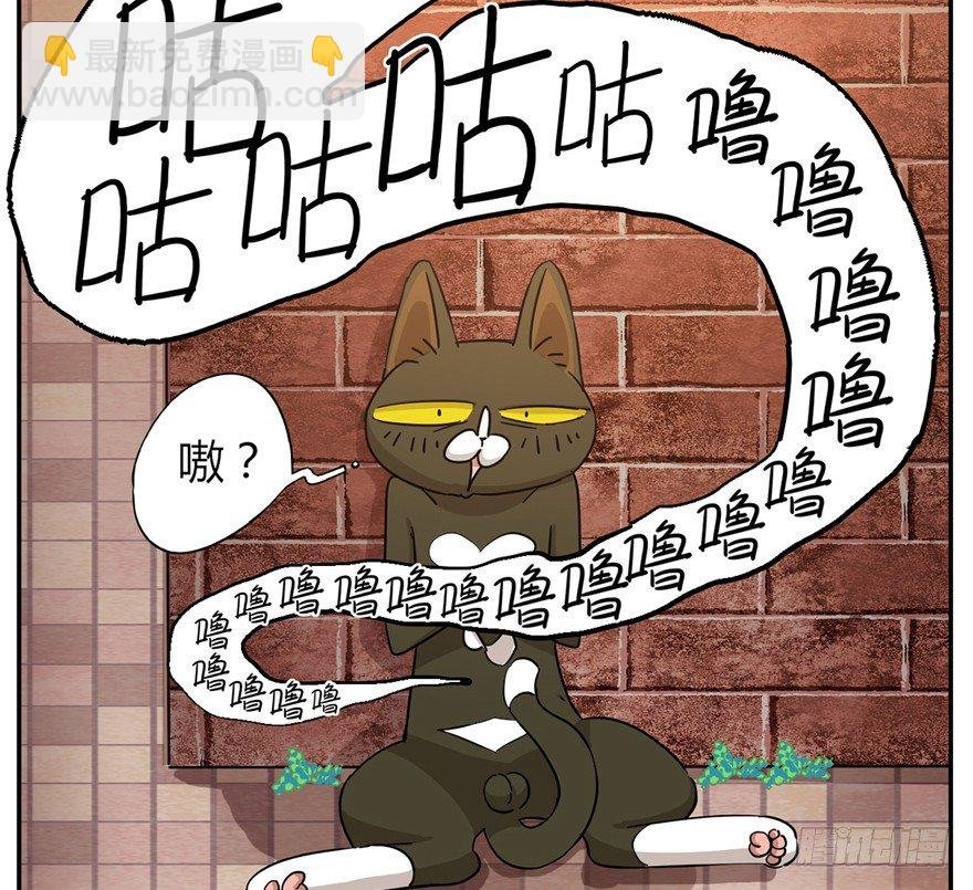 第2爪 做猫第一课（上）