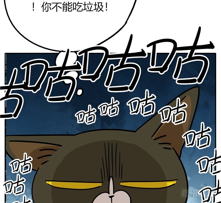 第2爪 做猫第一课（上）