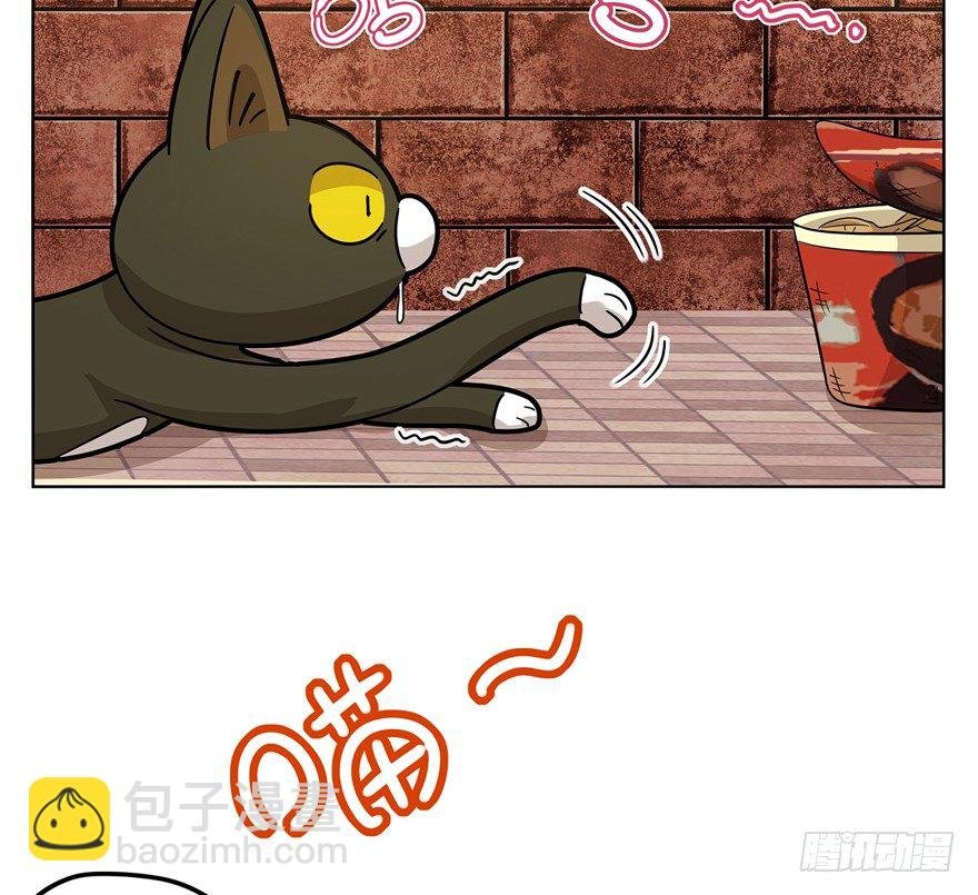 第2爪 做猫第一课（上）