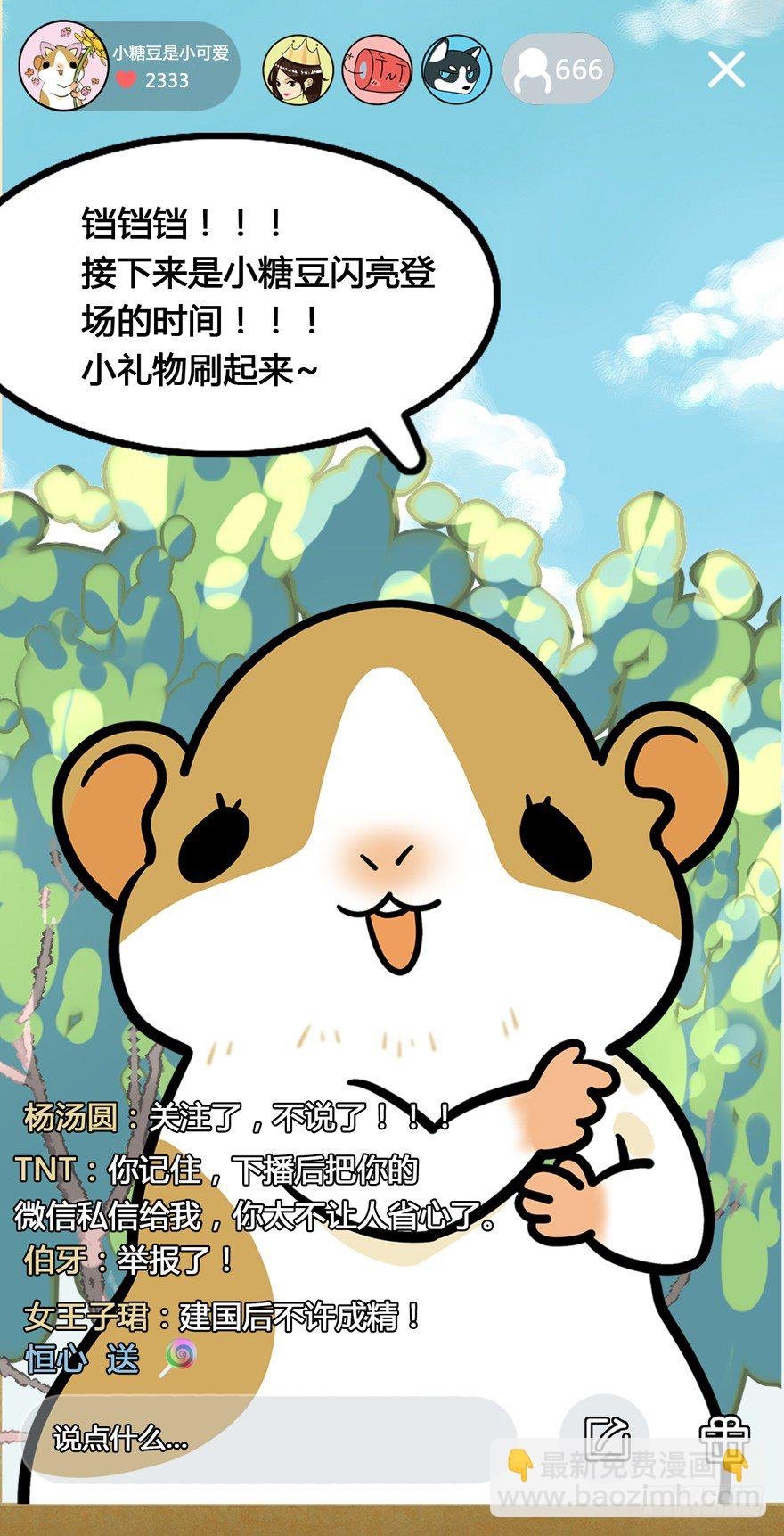 第2爪 做猫第一课（上）