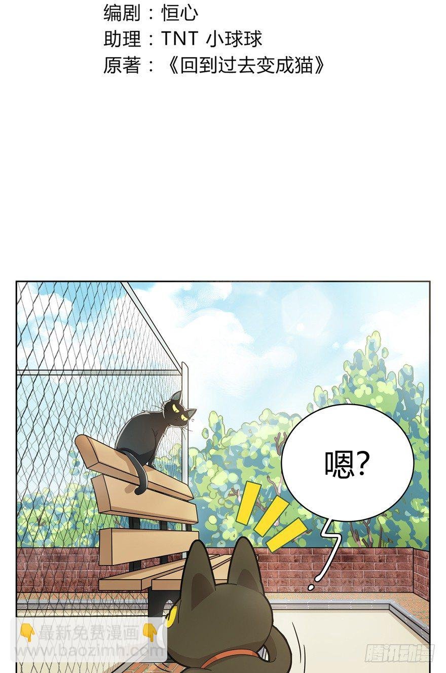 第21爪 夏天真好（下）