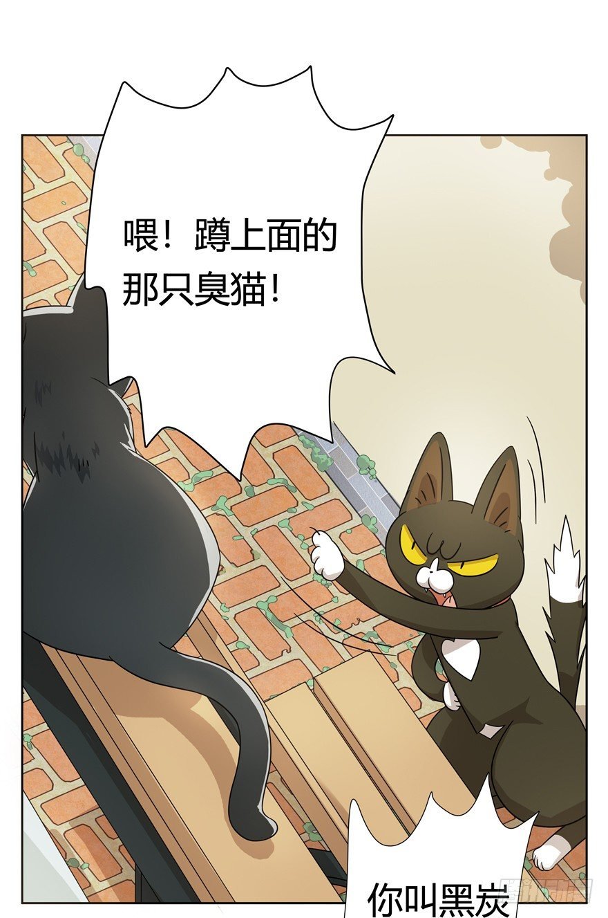 第21爪 夏天真好（下）