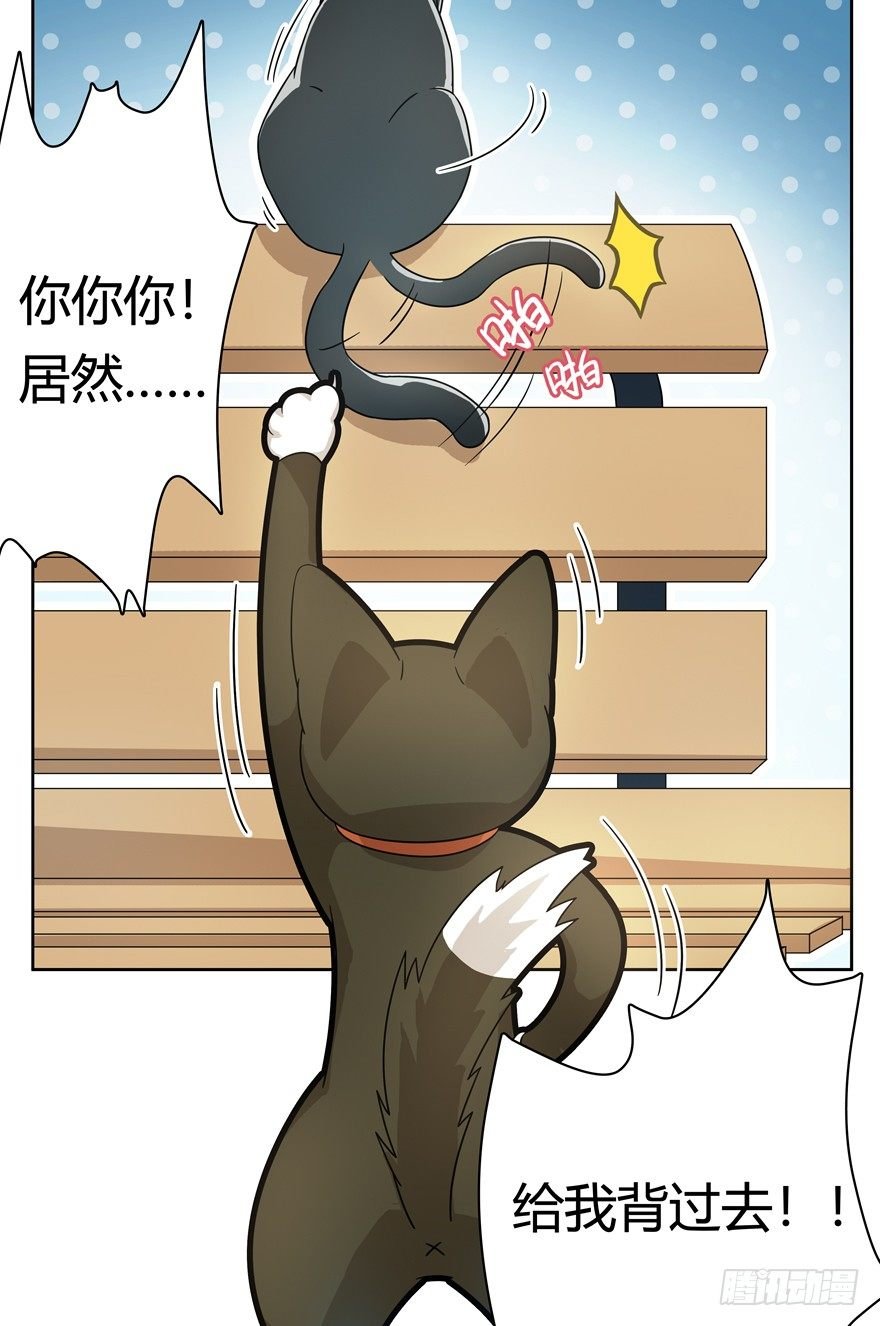 第21爪 夏天真好（下）