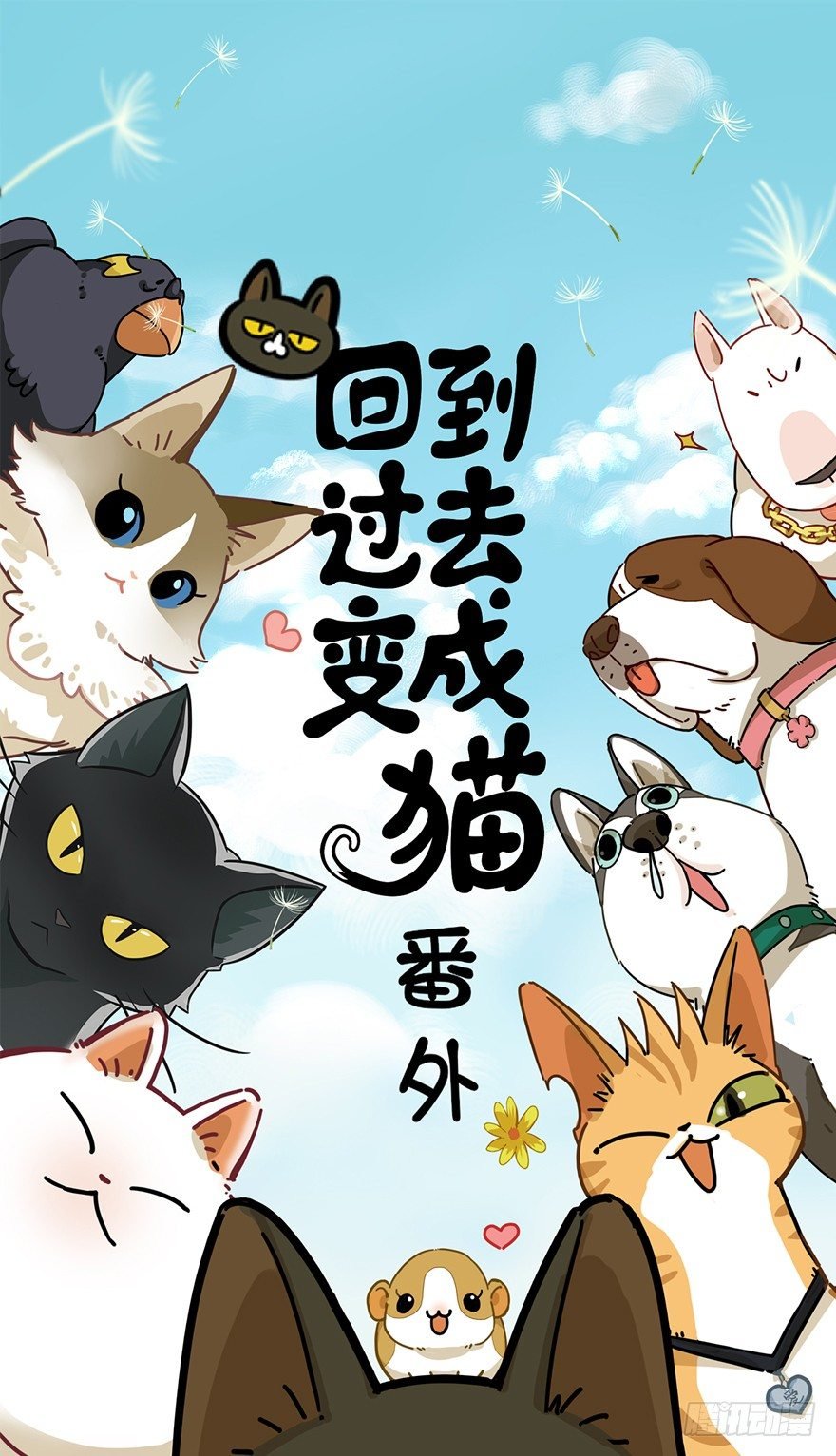 第27爪 猫之结界