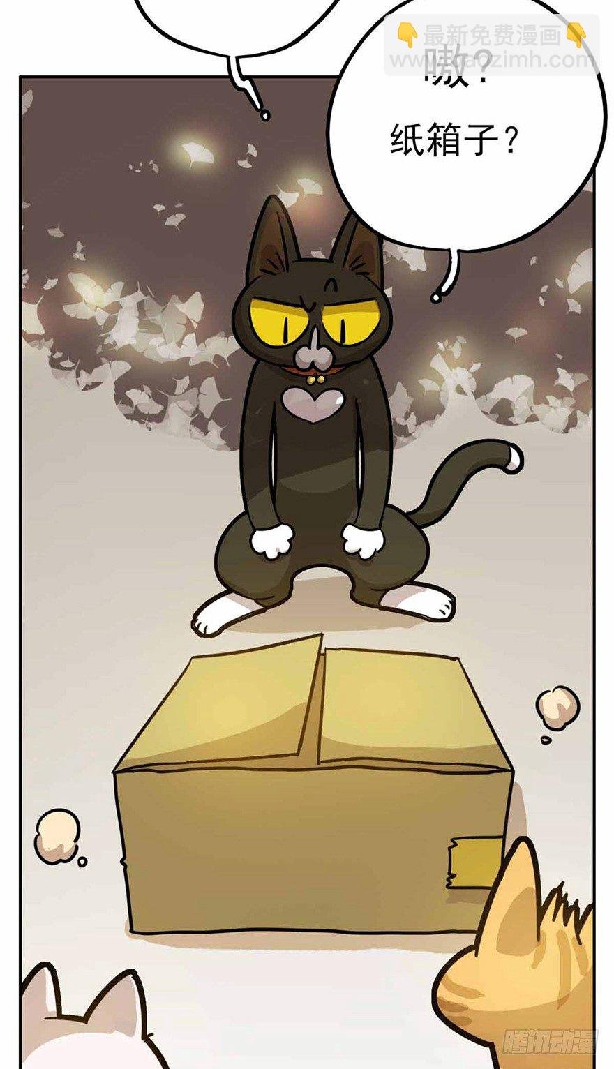 第27爪 猫之结界