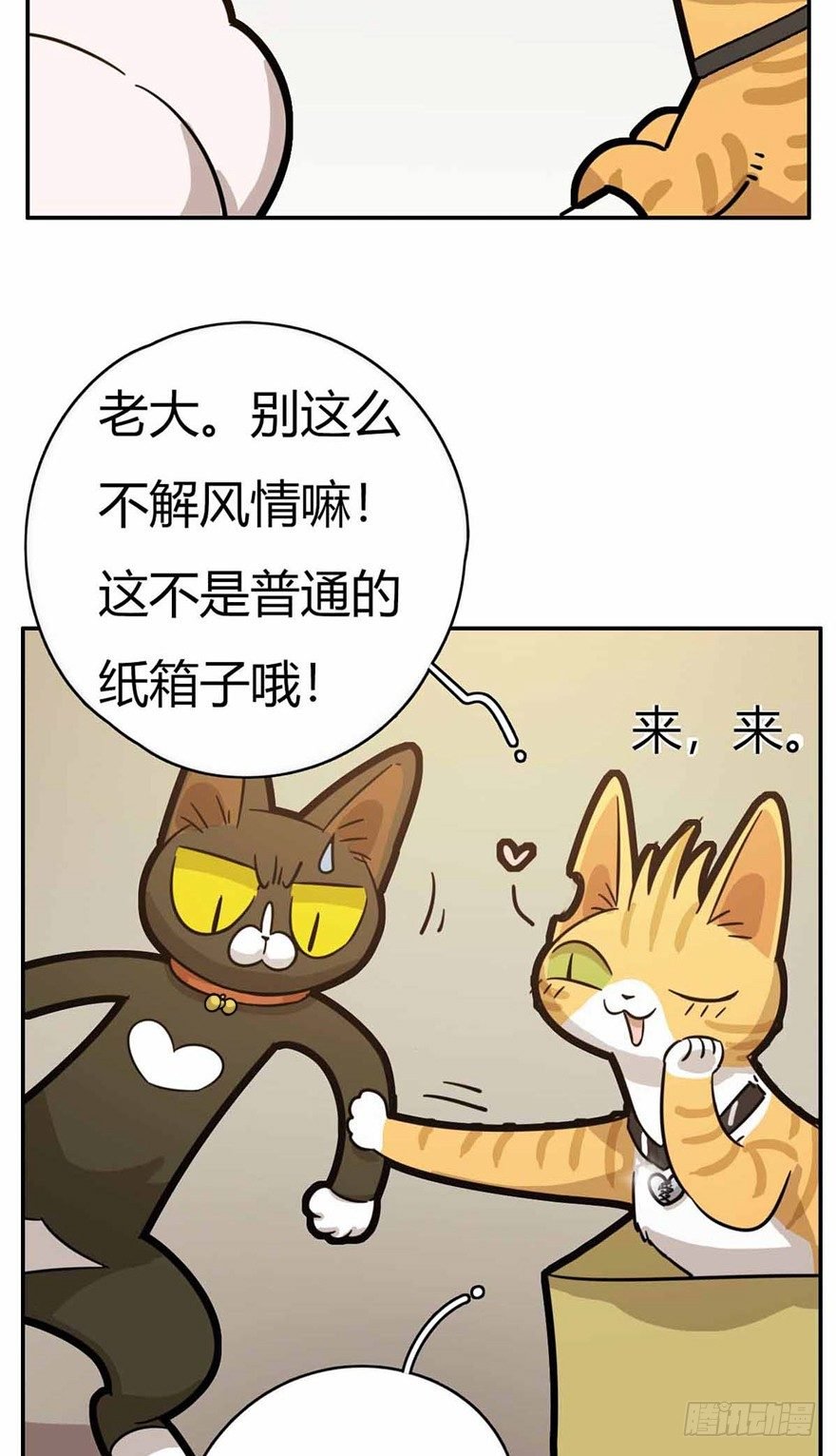 第27爪 猫之结界