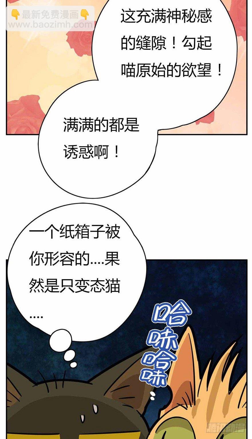 第27爪 猫之结界