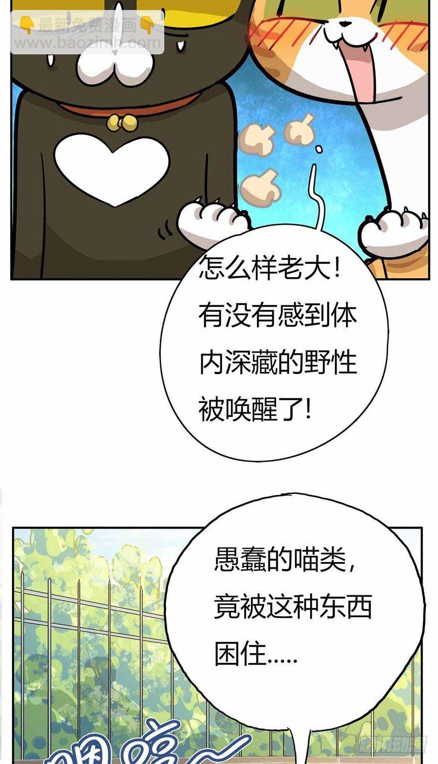 第27爪 猫之结界