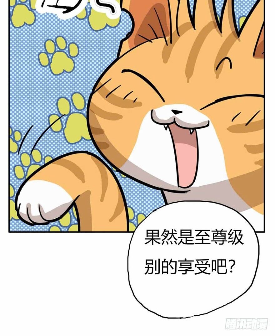 第27爪 猫之结界