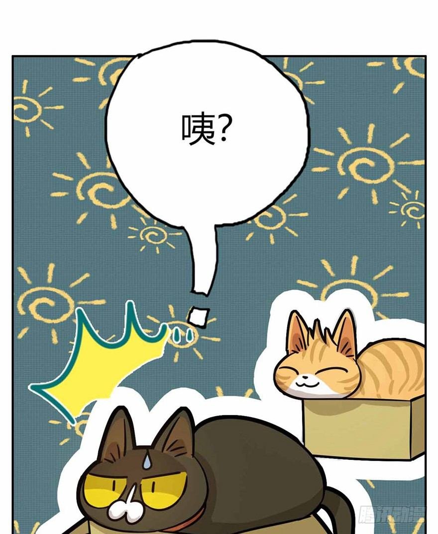 第27爪 猫之结界