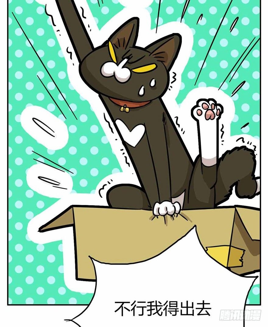 第27爪 猫之结界