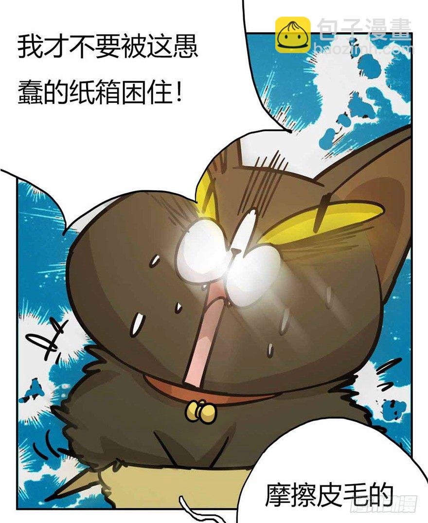 第27爪 猫之结界