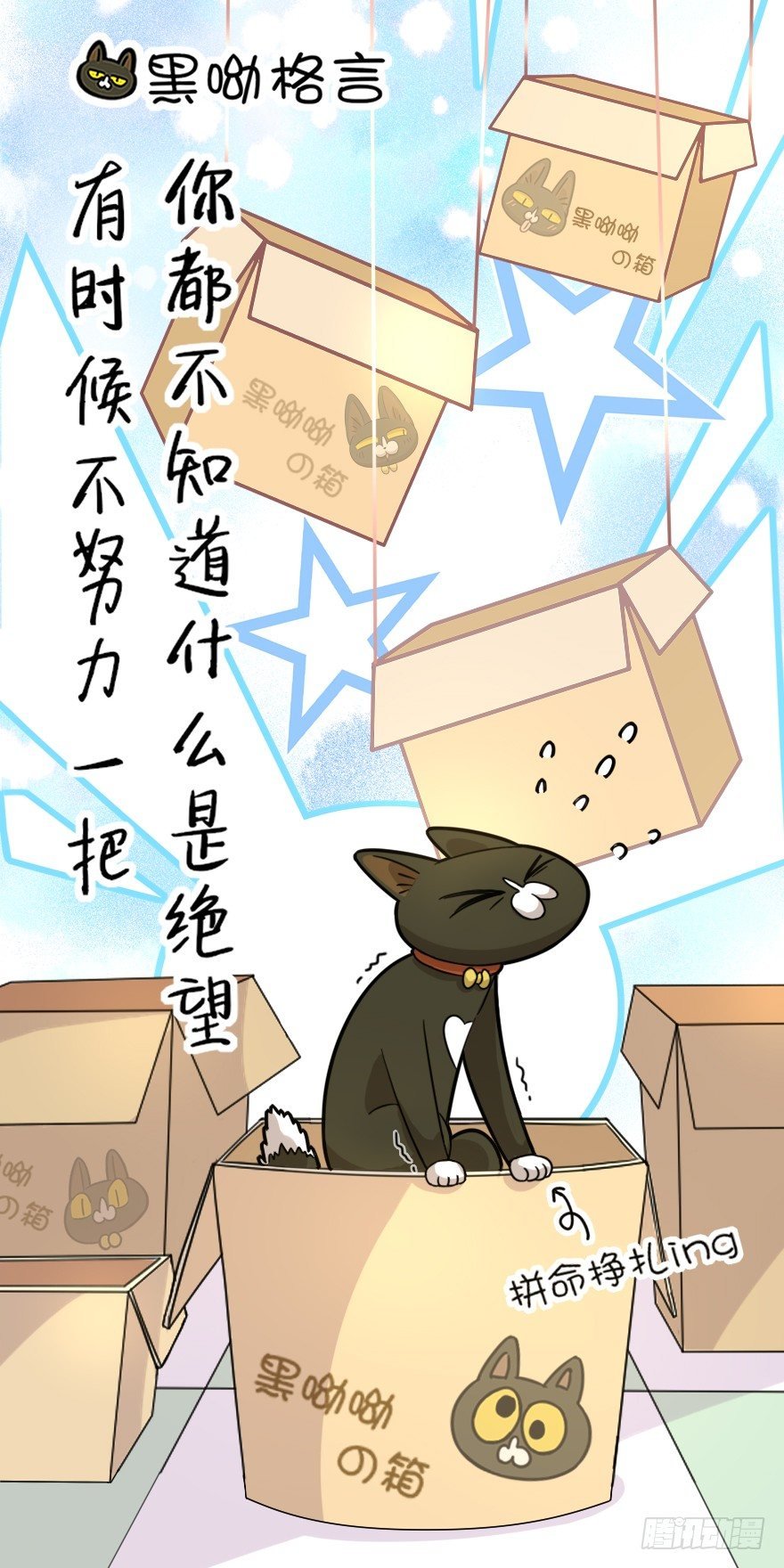 第27爪 猫之结界