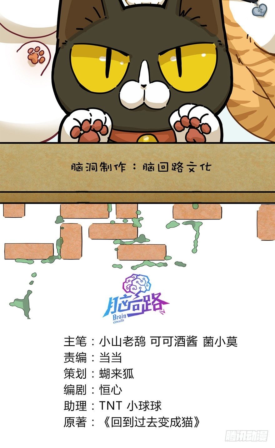 第28爪 猫圈鄙视链（上）