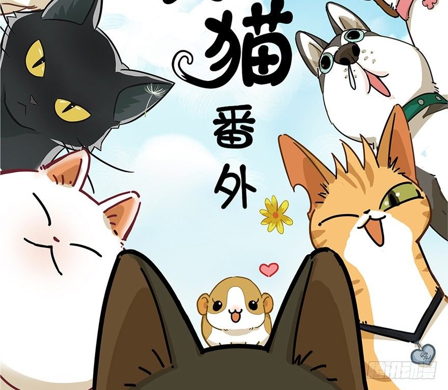 第3爪 做猫第一课（下）