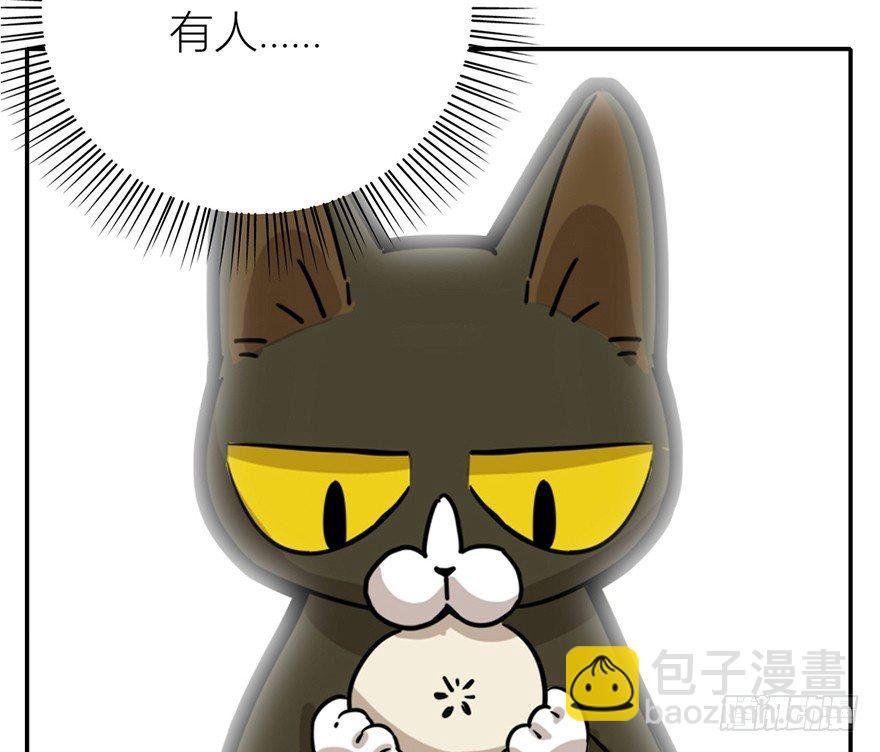 第3爪 做猫第一课（下）