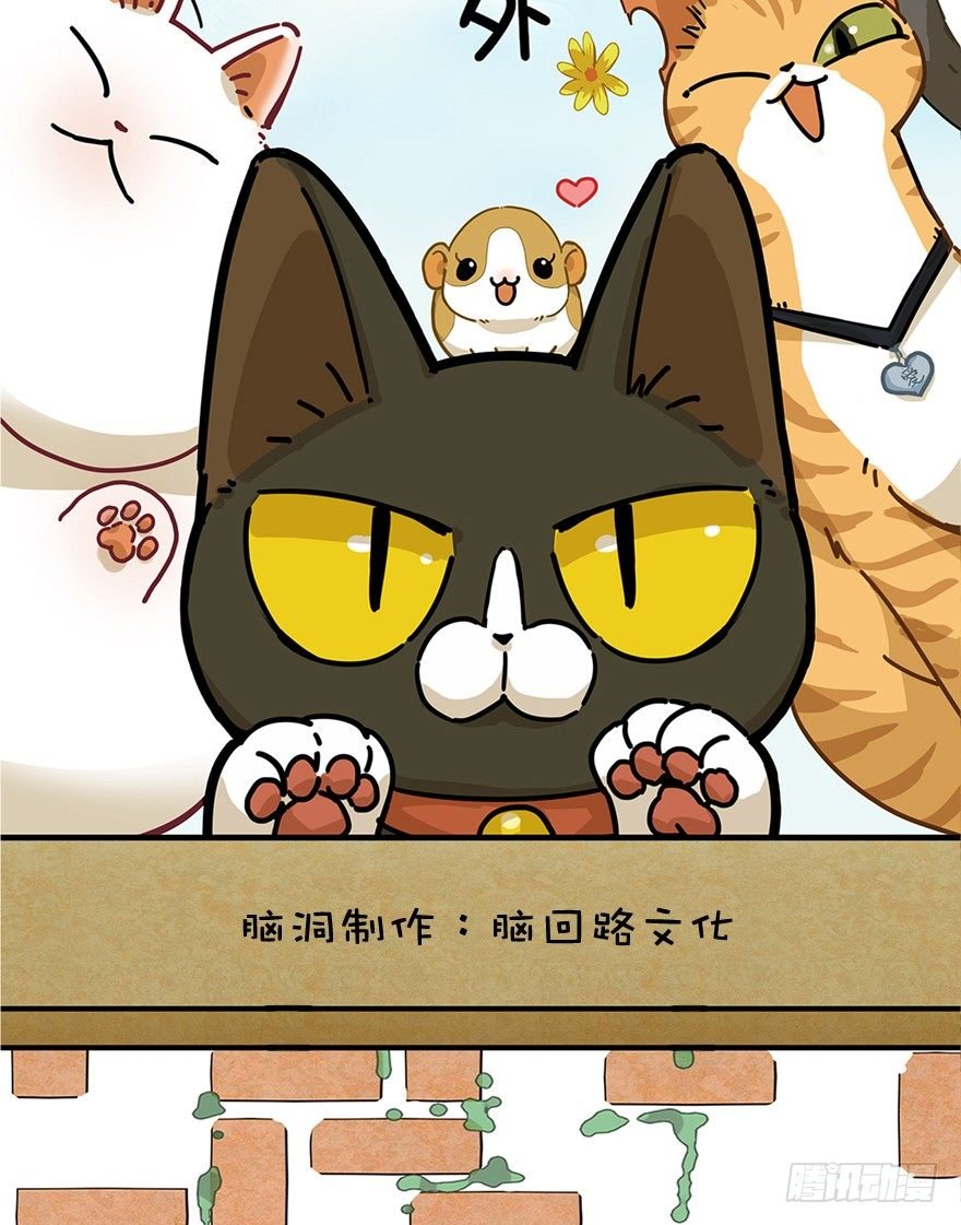 第31爪 活学活用（上）
