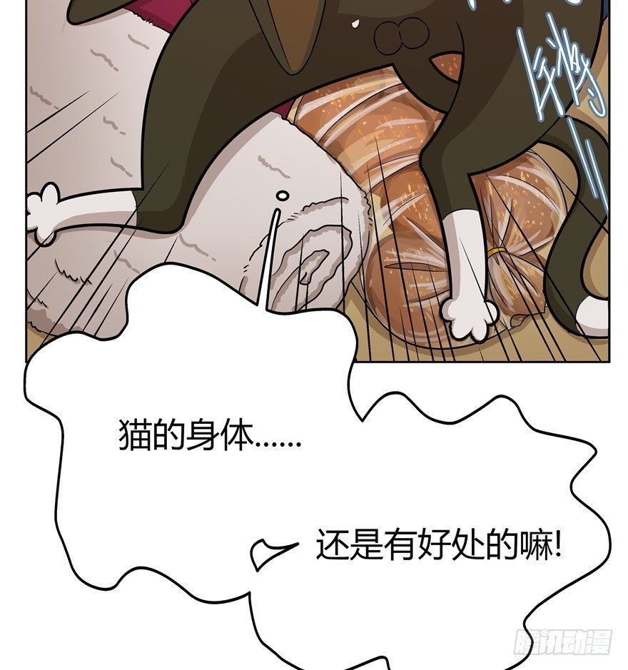 第31爪 活学活用（上）