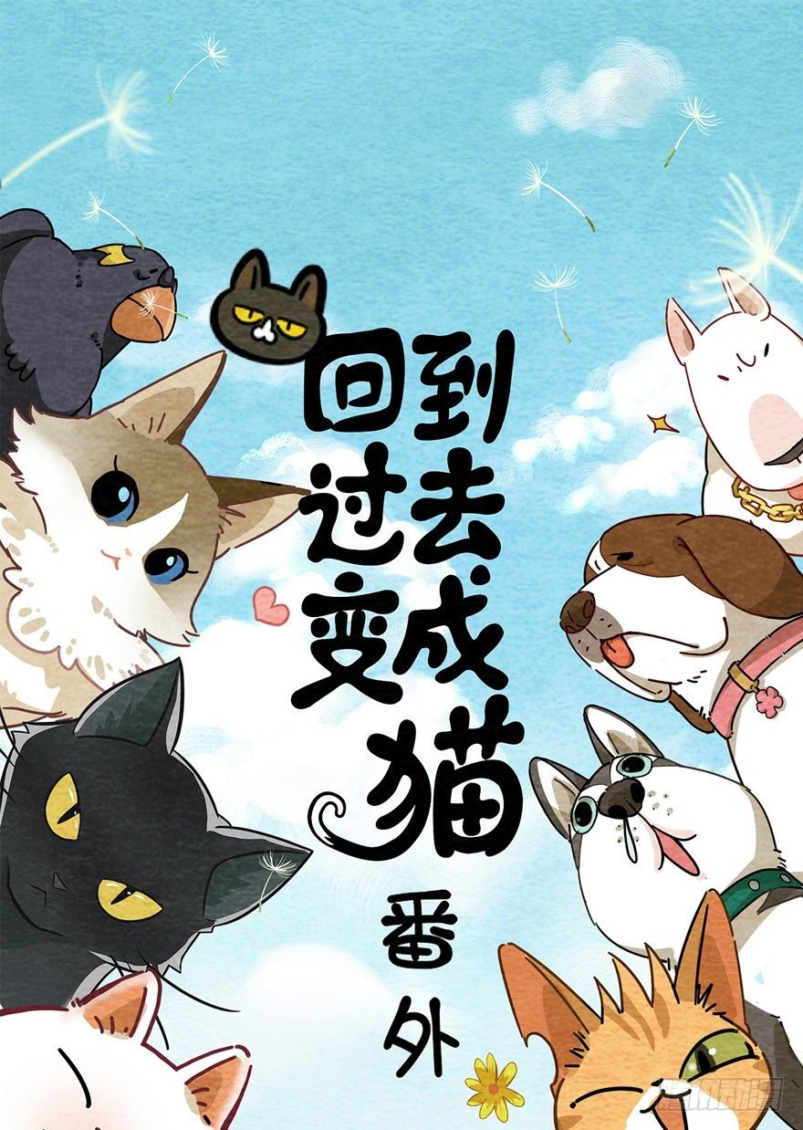 新年番外一 为啥没有猫年