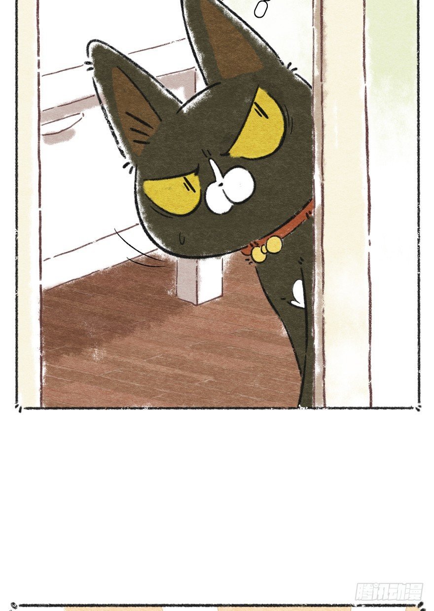 新年番外一 为啥没有猫年