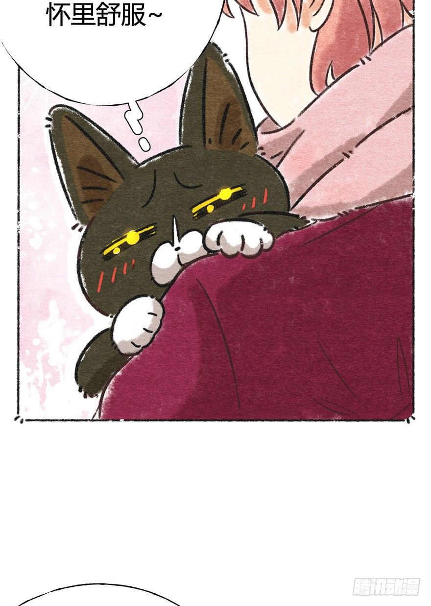 新年番外一 为啥没有猫年