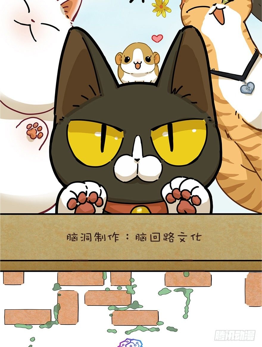 新年番外四 大开眼界（上）
