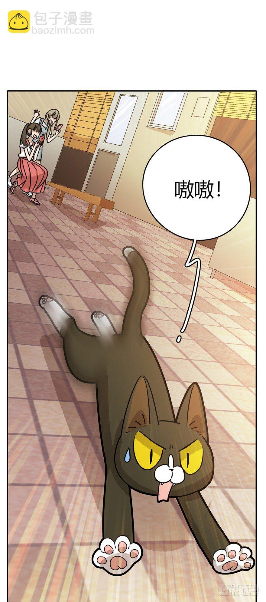 第5爪 似是故人来（上）