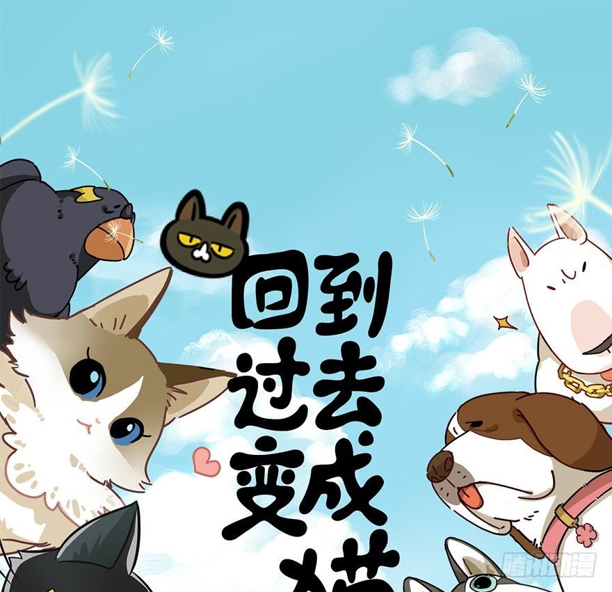 第44爪 夜幕下的阴谋（上）