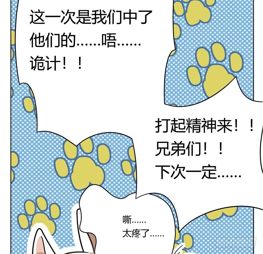 第44爪 夜幕下的阴谋（上）