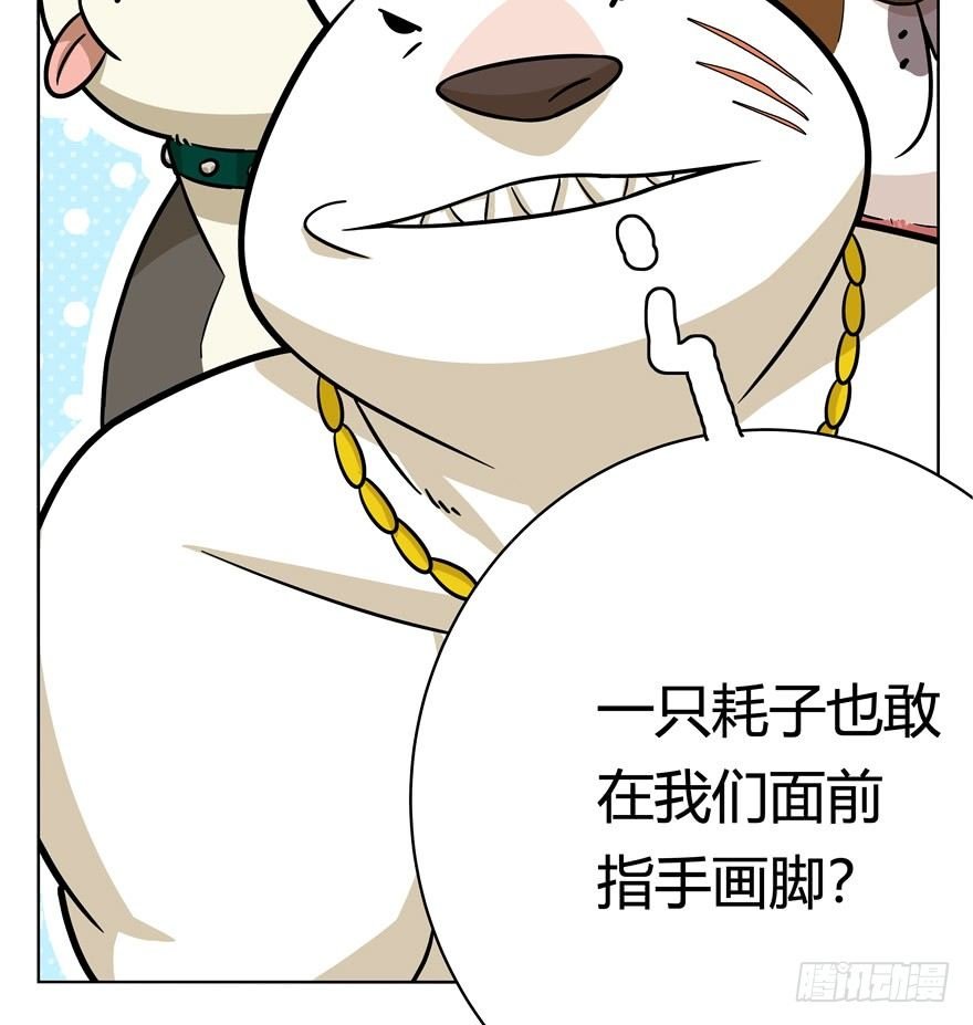 第44爪 夜幕下的阴谋（上）