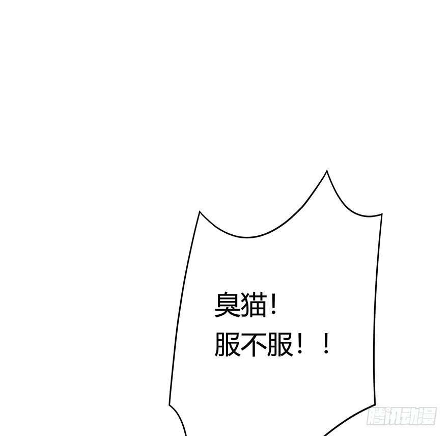 第47爪 强力外援（上）