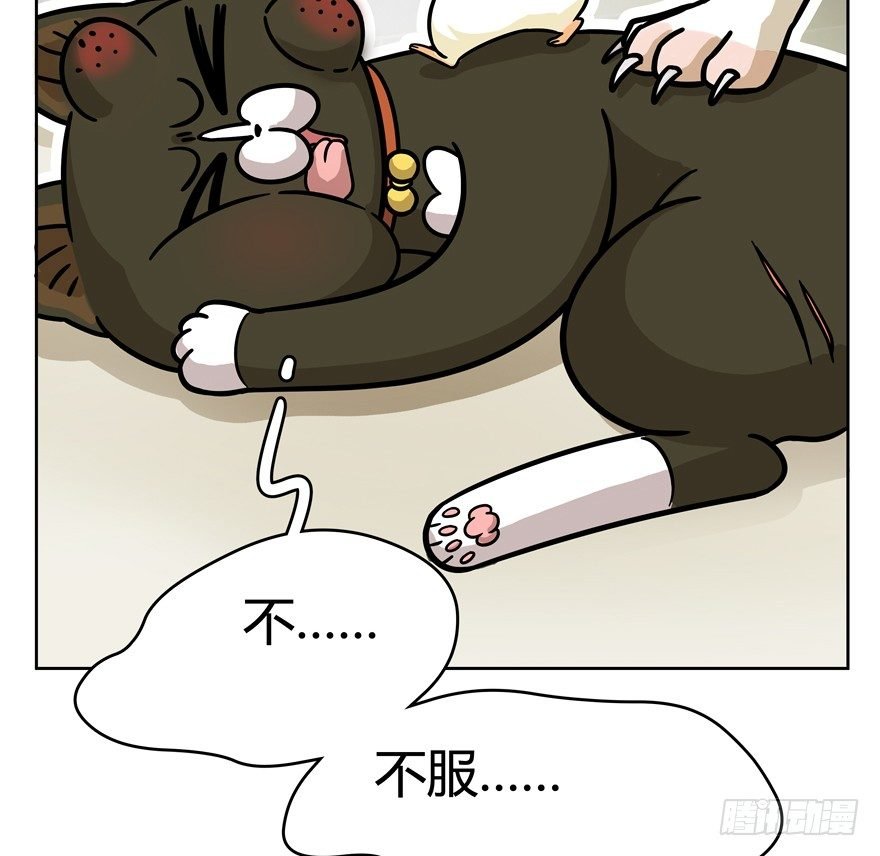 第47爪 强力外援（上）