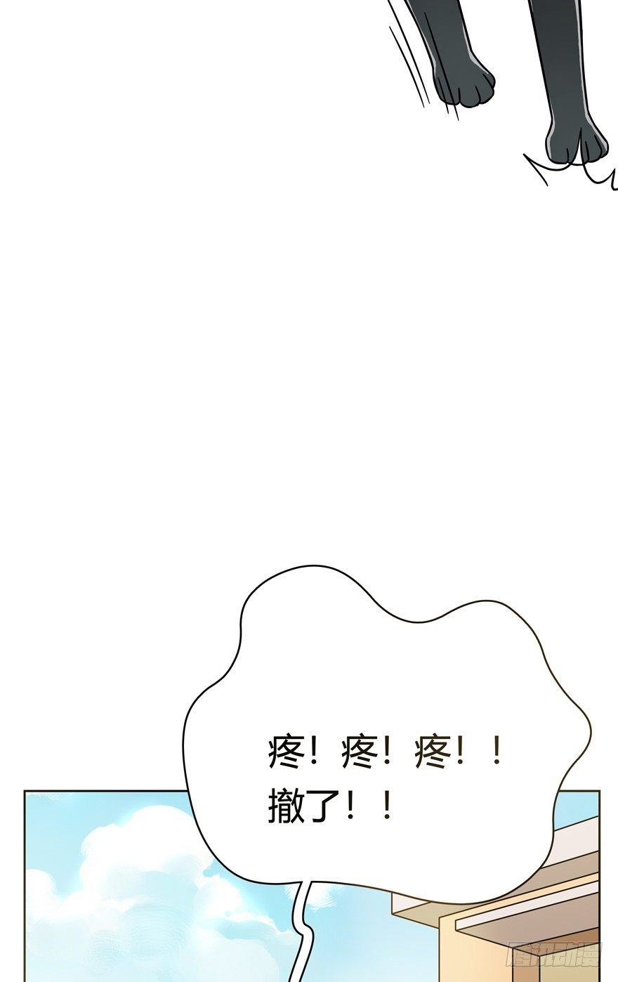 第48爪 强力外援（下）