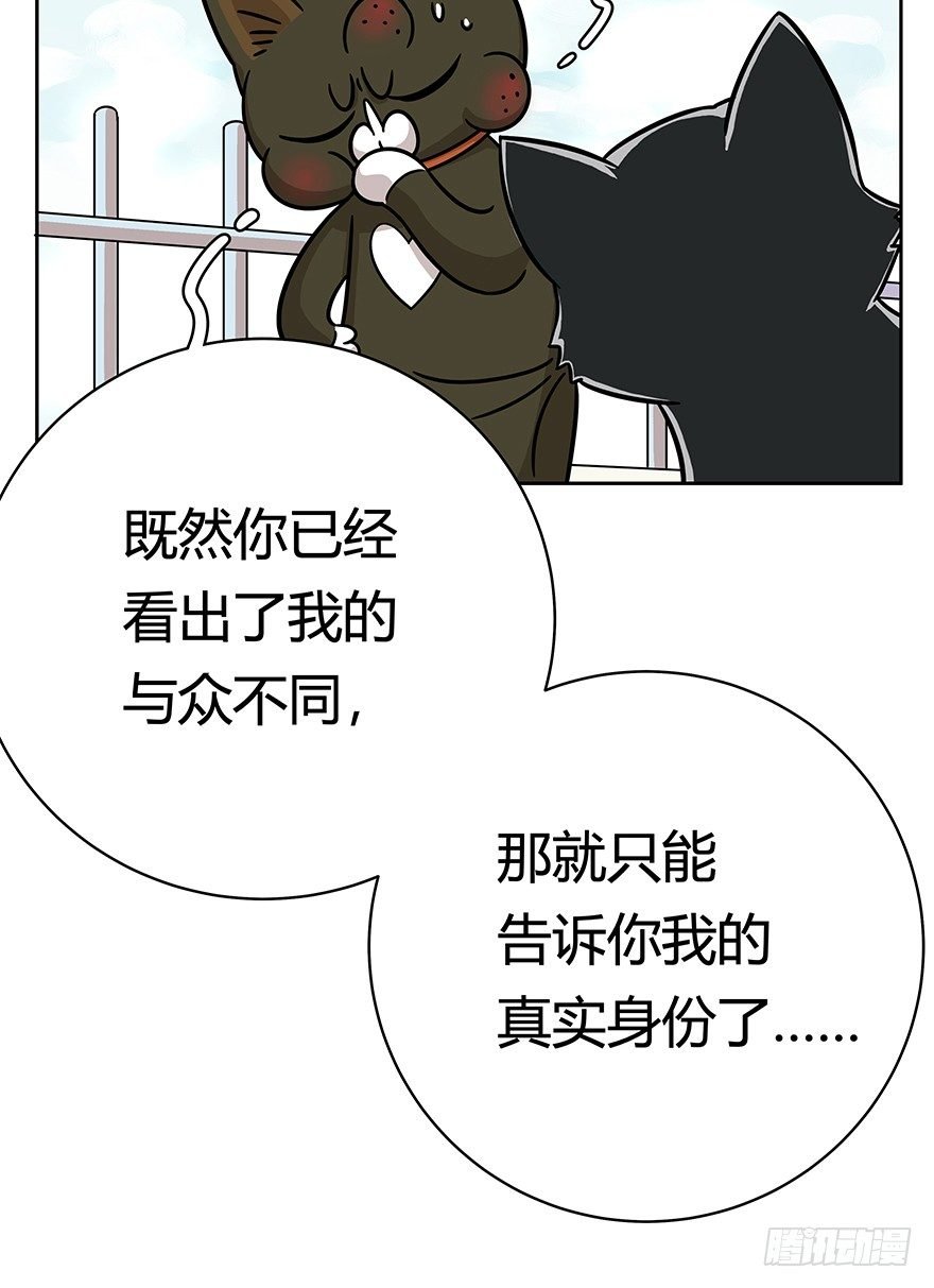 第49爪 狐假虎威