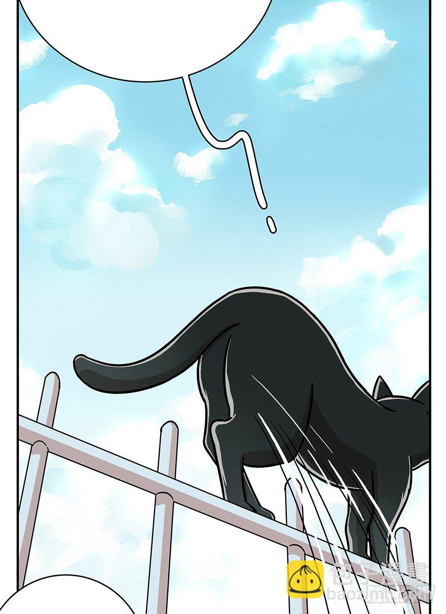 第49爪 狐假虎威