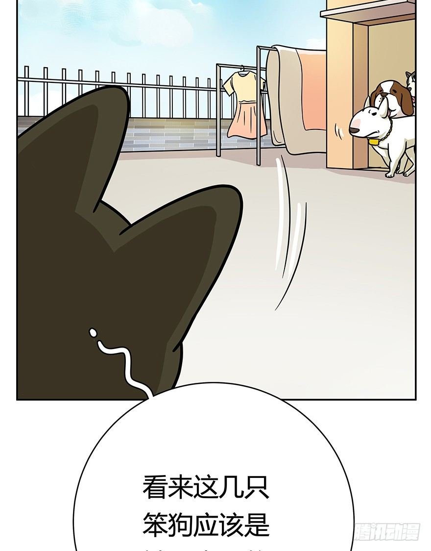 第49爪 狐假虎威
