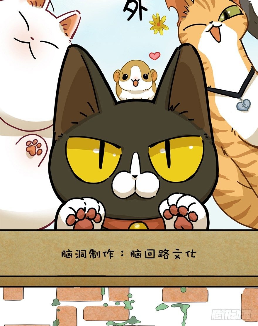 第7爪 一生所爱